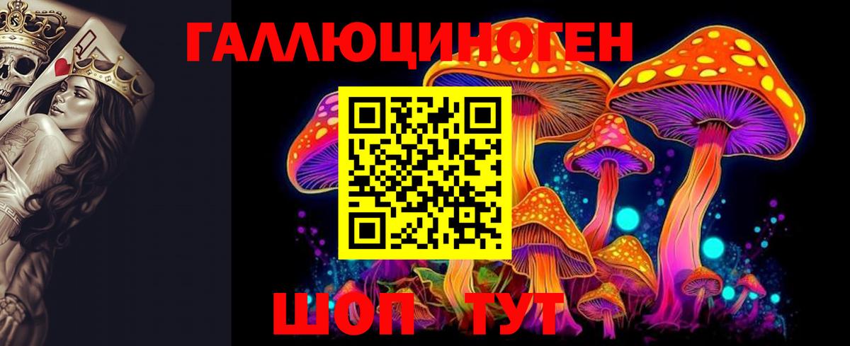 Псилоцибиновые грибы Psilocybine cubensis Тверь